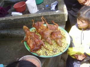 Traditional cuy and mote dish